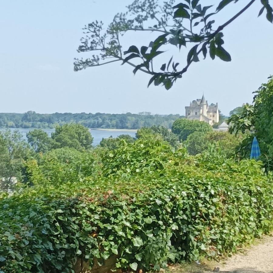 Gite Des Perreyeurs - Maison Troglodyte Avec Vue Sur Loire Montsoreau Zewnętrze zdjęcie
