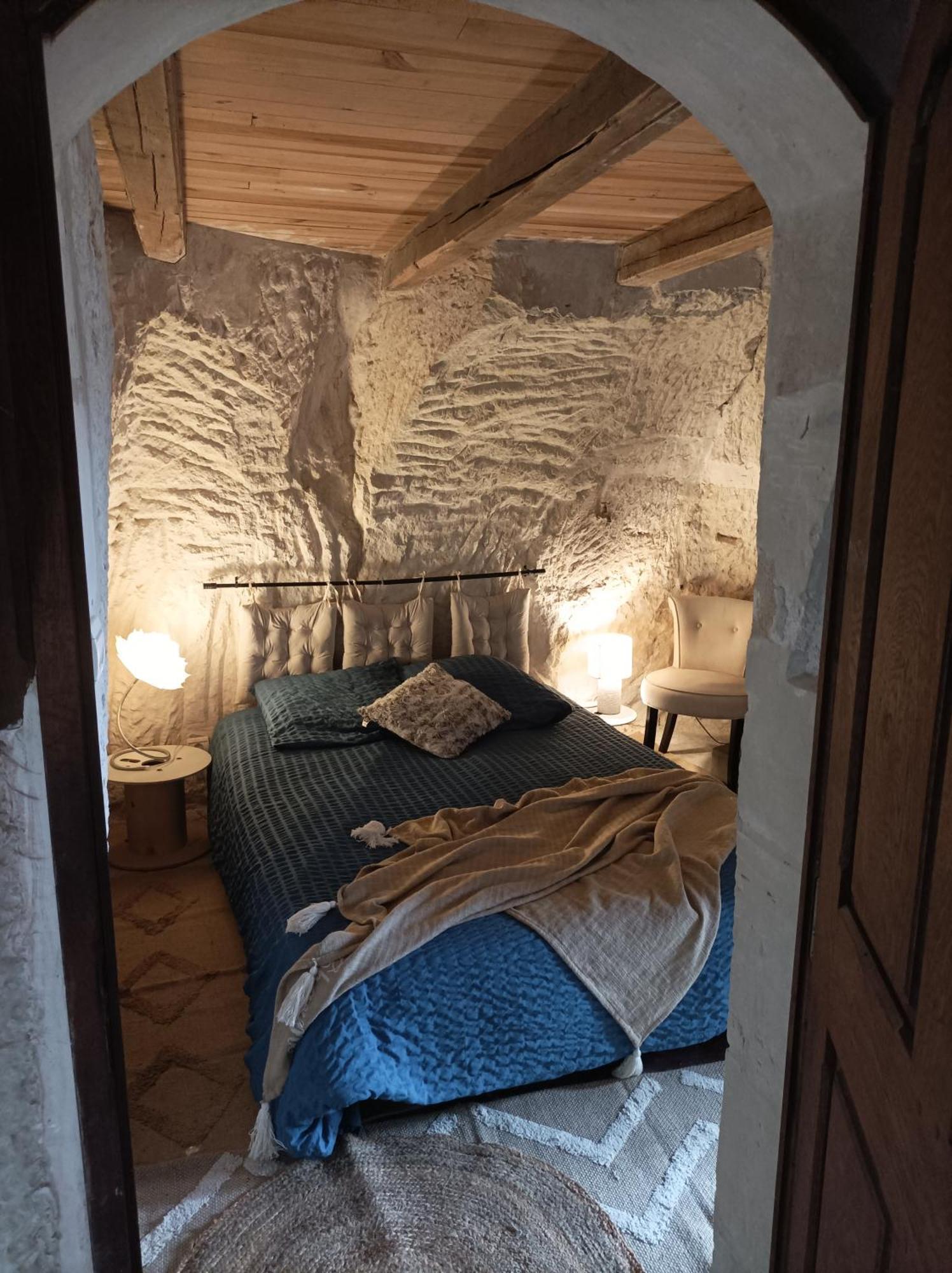 Gite Des Perreyeurs - Maison Troglodyte Avec Vue Sur Loire Montsoreau Zewnętrze zdjęcie