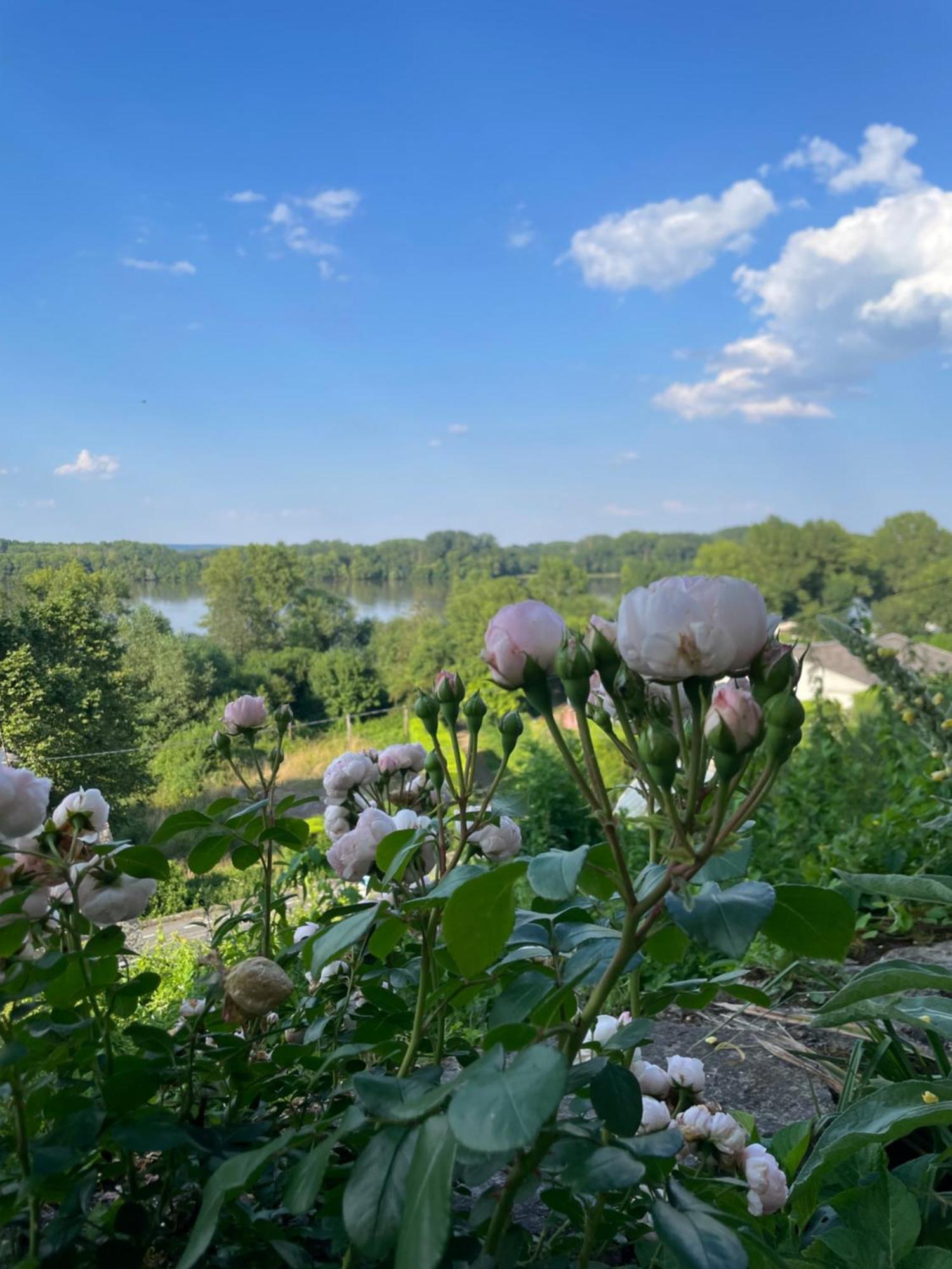 Gite Des Perreyeurs - Maison Troglodyte Avec Vue Sur Loire Montsoreau Zewnętrze zdjęcie